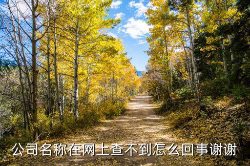 為什么查不到金荔科技，公司名稱在網上查不到怎么回事謝謝