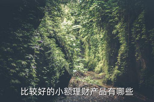 有什么小額理財產品，小額理財投資產品有哪些