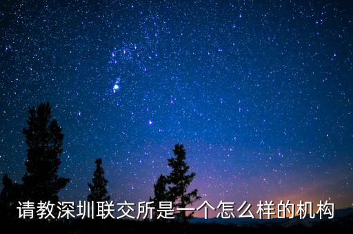 請教深圳聯交所是一個怎么樣的機構
