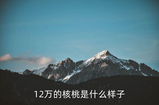 36萬核桃長什么樣，大家看這個核桃做的怎樣值多少