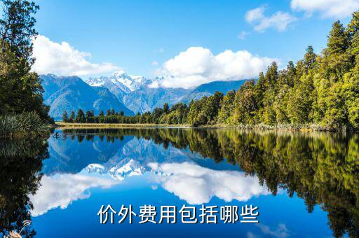 政府性基金是什么意思，何為政府性資金國有企業投資時其資本金部分算不算政府資金