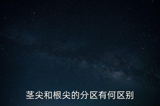 外高橋分區指按部屬于什么級別，上海市外高橋保稅區是屬于什么區