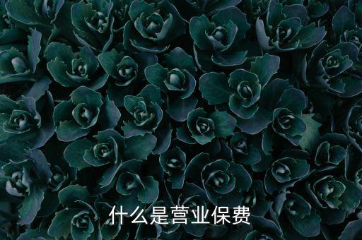 什么是營業保費