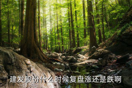 建發股份什么時候復盤漲還是跌啊