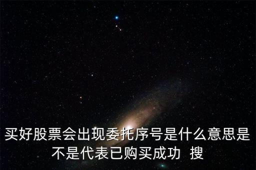 買好股票會出現委托序號是什么意思是不是代表已購買成功  搜