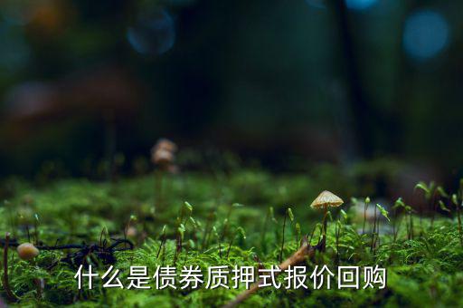 什么是債券質押式報價回購