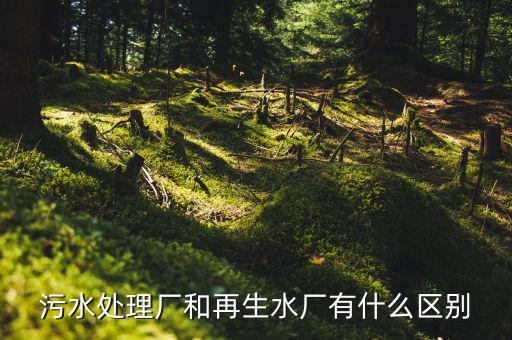 什么是再生水廠，污水處理廠和再生水廠有什么區別