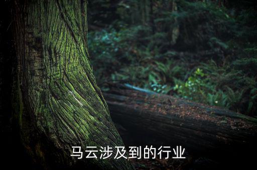 馬云涉及到的行業