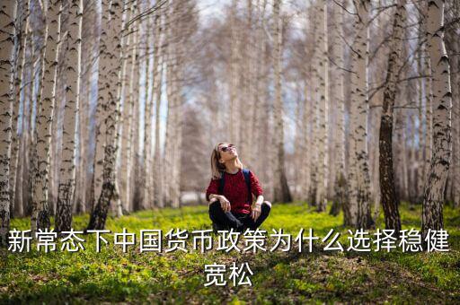 新常態下中國貨幣政策為什么選擇穩健寬松
