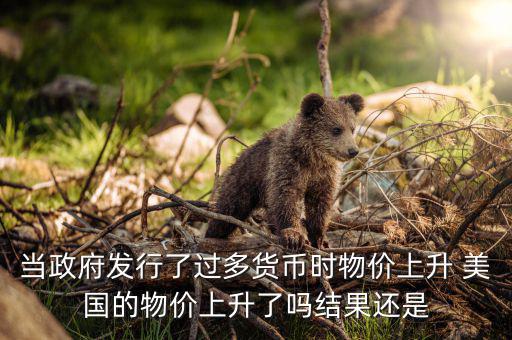 當政府發行了過多貨幣時物價上升 美國的物價上升了嗎結果還是