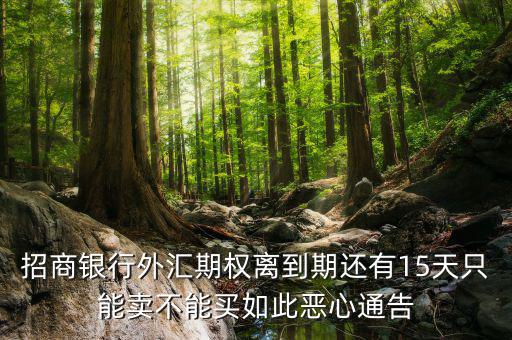 為什么不能購買招商銀行期權(quán)，招商銀行外匯期權(quán)怎么了獲利200點(diǎn)還賠錢