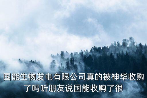 國能生物發電有限公司真的被神華收購了嗎聽朋友說國能收購了很