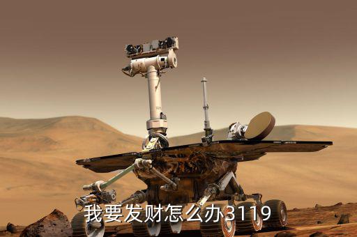 我要發財怎么辦3119