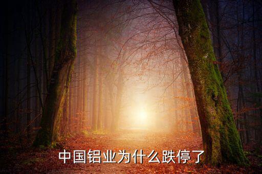 中國鋁業為什么跌停了