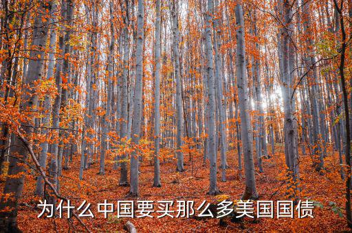 為什么要買(mǎi)美國(guó)國(guó)債，為什么要買(mǎi)那么多美國(guó)國(guó)債