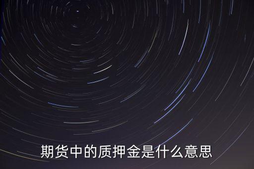 期貨中的質押金是什么意思