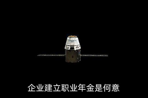 企業建立職業年金是何意