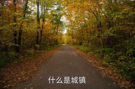 什么是城鎮