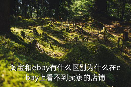 淘寶和ebay有什么區別為什么在ebay上看不到賣家的店鋪