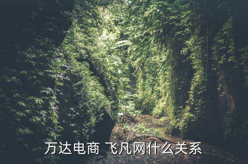 萬達電商 飛凡網什么關系