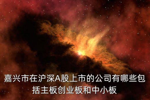 嘉興市在滬深A股上市的公司有哪些包括主板創業板和中小板