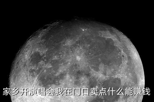 家鄉開演唱會我在門口賣點什么能賺錢