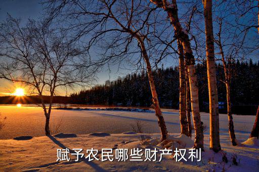 賦予農民哪些財產權利