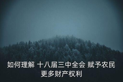 如何理解 十八屆三中全會 賦予農民更多財產權利