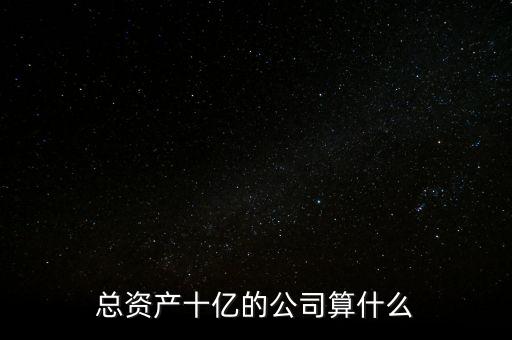 總資產十億的公司算什么
