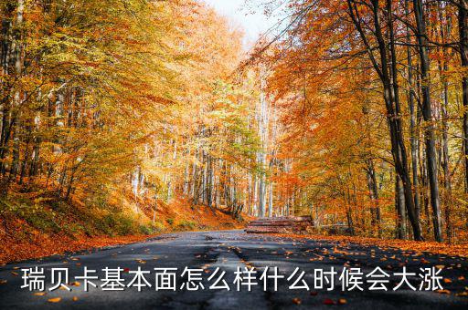 瑞貝卡基本面怎么樣什么時候會大漲