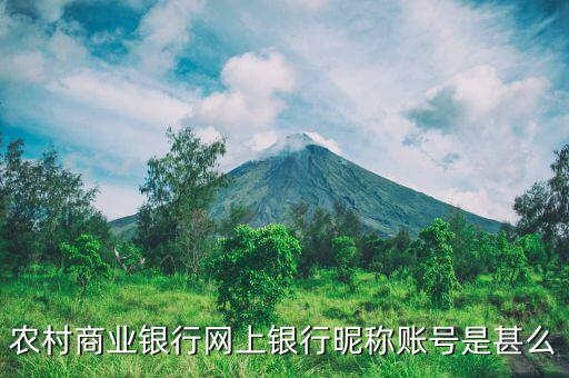 吳江農村商業銀行用戶名是什么，銀行用戶名是什么