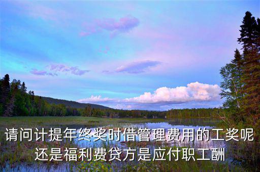 計提獎金是什么意思，請問計提年終獎時借管理費用的工獎呢還是福利費貸方是應付職工酬