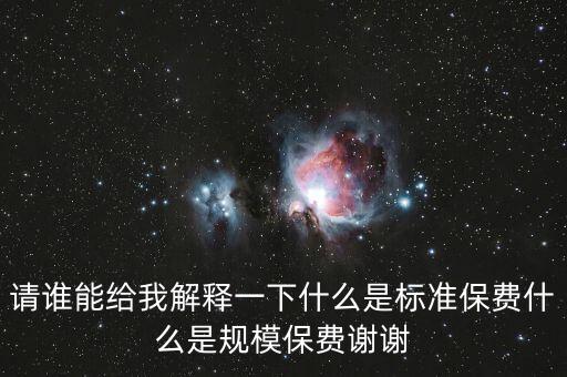 請誰能給我解釋一下什么是標準保費什么是規模保費謝謝