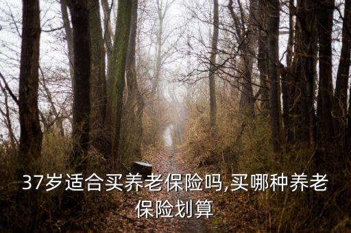 37歲適合買養老保險嗎,買哪種養老保險劃算