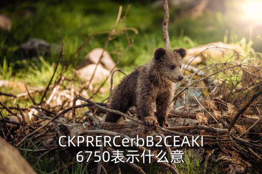 分類調控是什么意思，CKPRERCerbB2CEAKI6750表示什么意