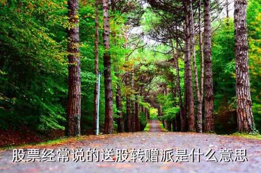 股票經常說的送股轉贈派是什么意思
