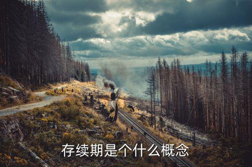 什么是貸款存續期，什么叫存續期看百度百科看不懂求簡單易懂的解釋