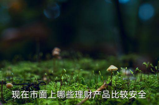 什么理財產品安全，做理財哪種安全些