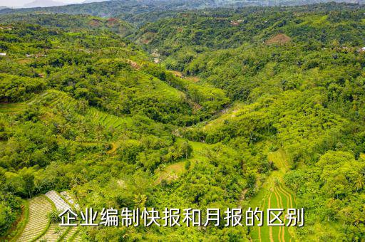 企業編制快報和月報的區別