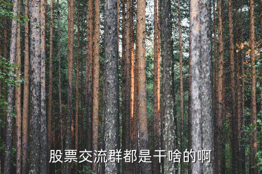 股吧里加群是什么，東方財富網股吧 里說的 群怎么加