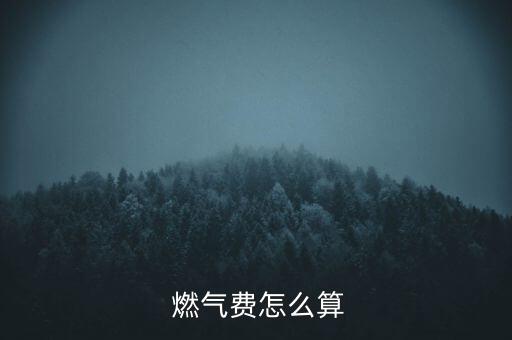 肯德基餐廳燃氣用氣量怎么計算,城鎮居民用氣價格如何制定?