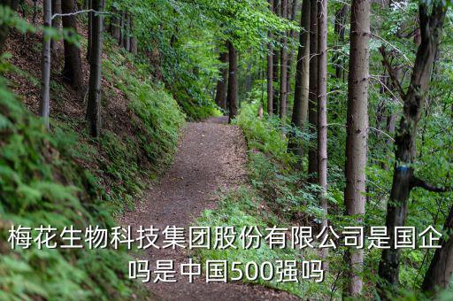 梅花生物是什么板塊，梅花生物科技集團股份有限公司是國企嗎是中國500強嗎