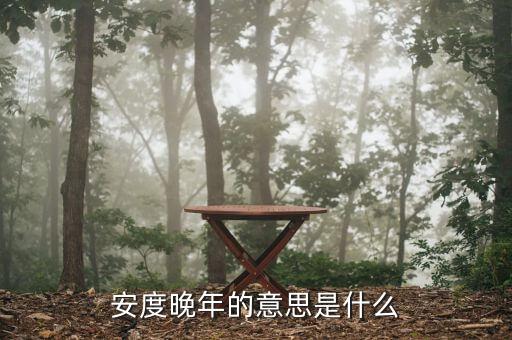 安度晚年是什么意思，安度晚年這個成語的意思是什么D