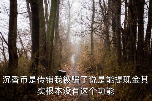 沉香幣是傳銷我被騙了說是能提現金其實根本沒有這個功能