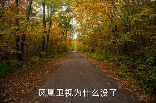 鳳凰衛視為什么沒了