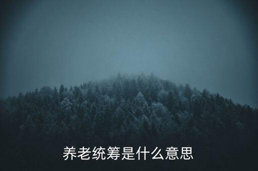 養老統籌是什么意思