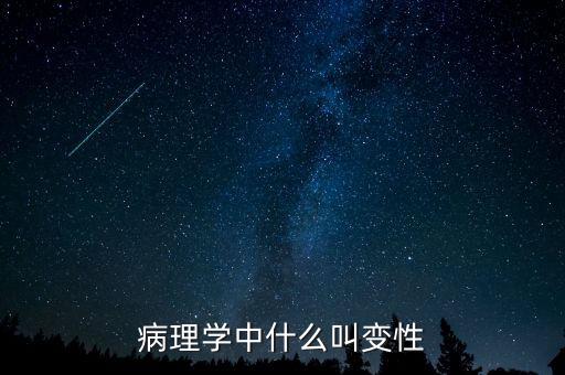 什么叫中簽號，數學中什么叫值