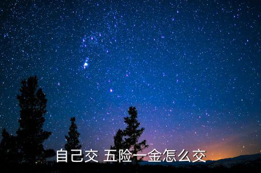 五險自由職業怎么買,想買職工社保?可直接去當地社保局買