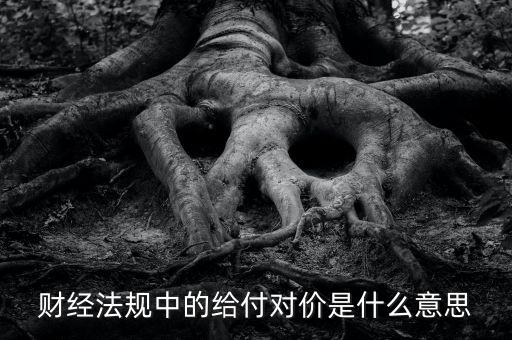 支付對價是什么意思，財經法規中的給付對價是什么意思