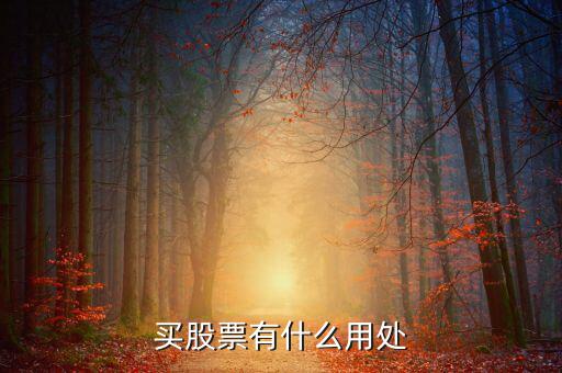 股票有什么用處，股票有什么用